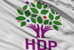 HDP'nin Balıkesir Büyükşehir Belediye Başkan adayı gözaltına alındı