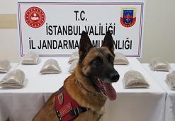 'Atak'tan zehir tacirlerine darbe! 25 kilo ele geçirildi