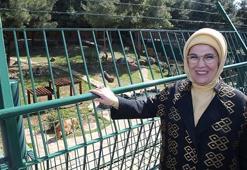 Emine Erdoğan Kelebek Vadisi'ni açtı