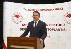 Zincir marketlere tanzim satış ürünleri sevkiyatı başladı