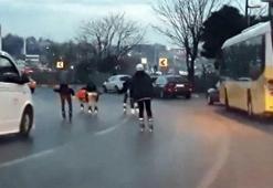 Patenli gençlerin tehlikeli yolculuğu