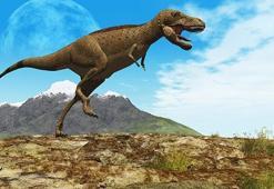 Dinozorların son günü fosillerde kayıtlı