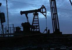 ABD'nin petrol ihracatı geçen yıla göre yüzde 67 arttı