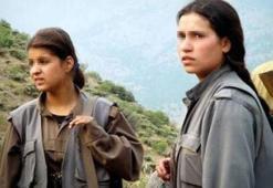 PKK'nın elebaşları birbirine düştü