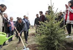 Bakan Kasapoğlu fidan dikti