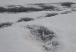 'Yeti canavarının ayak izini bulduk'