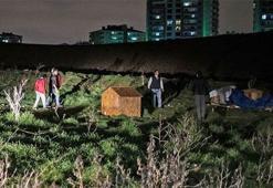 Ankara'da köpeklerin öldürülmesine hapis istemi