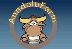 Rekor ceza geliyor! Anadolu Farm'a yatırılan paralarla...