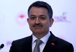 Bakan Pakdemirli açıkladı: Üreticiye 60 milyon avroluk yeni hibe