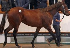 110 milyon euroluk efsane Frankel