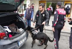 İstanbul'da "Kurt Kapanı-7" uygulaması