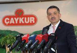 2019 yılı yaş çay alım fiyatları açıklandı