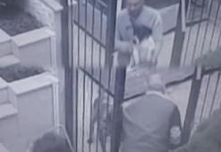 Sarıyer’de salyangoz zehri dehşeti... Ünlü isimler de tepki gösterdi!