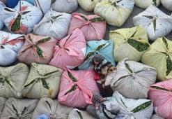 Çay alım fiyatı üreticiyi sevindirdi