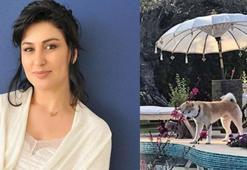 Uyurken evine hırsız girdi! 'Köpeği...'