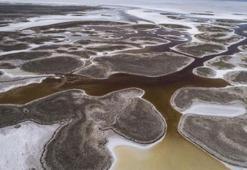 Flamingo cenneti Tuz Gölü kuruyor