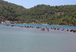 Efsaneyi duyan yerli turist oraya koştu
