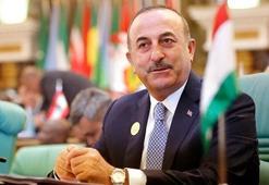 Çavuşoğlu Erbil'de IKBY'nin yeni başkanı Neçirvan Barzani ile görüştü