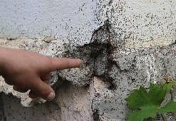 Mahallede korku dolu günler, durdurulamıyor