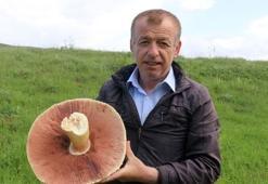 25 yıldır böylesi görülmemişti