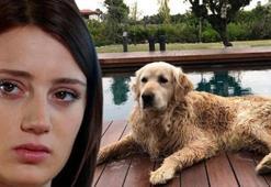 Gizem Karaca: Lütfen yardım edin!