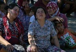Önce şaka zannettiler ama... Sinir krizi geçirdiler