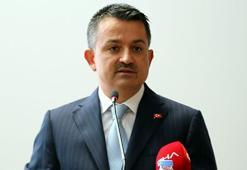 Bakan Pakdemirli açıkladı! 100 milyon lira hibe destek