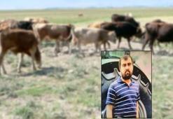 Kayıp çoban 6 gün sonra bulundu!