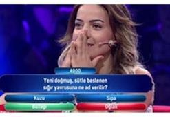 'Dağdaki çobanın oyuyla bunların oyu bir'