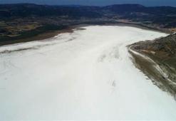 Flamingoların gölü kurudu