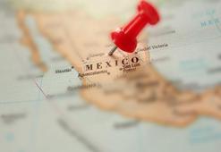 Meksika'da mantar zehirlenmesi: 5 ölü