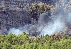 Yanan orman alanları ile ilgili flaş açıklama!