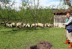 Köye dönüşe "proje" desteği