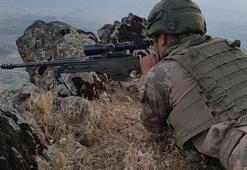PKK'da çözülme sürüyor... Teslim oldular!