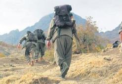 Teslim olan PKK'lı teröristler örgütteki çözülüşü anlattı