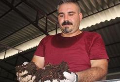 Kariyerine 'solucan gübresi' ile yön verdi