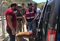 81 ilde eş zamanlı uygulama: 2 bin 347 kişi yakalandı