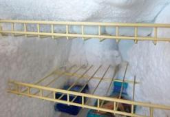 Dondurucudaki kutuyu yıllar sonra açan adam, bebek cesedi buldu