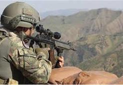 Şırnak'ta 2 terörist silahlarıyla etkisiz hale getirildi