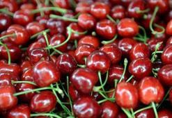 Çinliler Türk kirazını sevdi