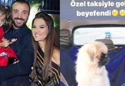 Köpeği için VIP araç kiraladı