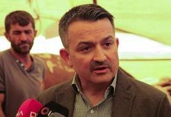 Bakan Pakdemirli mısır alım fiyatını açıkladı