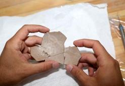 8,5 milyon yıllık deve kuşu yumurtası bulundu