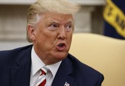 Trump, Danimarka ziyaretini erteledi