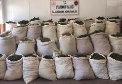 Lice'deki terör operasyonunda 974 kilo esrar ele geçirildi