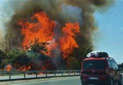 Tekirdağ-İstanbul yolunda korkutan yangın!