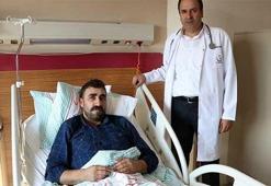 Kanser sandılar, böcek çıktı