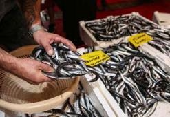 Fiyatlar yarı yarıya düştü