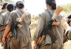 Teslim olan teröristler PKK'nın iç yüzünü anlattı