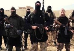 Korkutan uyarı: Yeniden başladılar